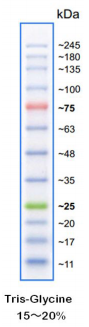 5f507fcd6f26b.png image.png